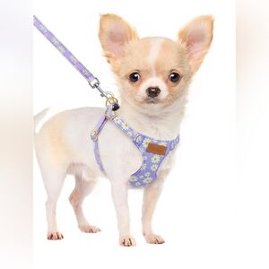 SlowTon No Pull Purple Floral Dog Harness & Leash Set Size XXS (2-2.6 lbs) EUC